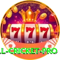 all cricket Games Deluxe