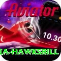 antigua hawksbill Pro Edition v3.7.0