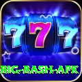 bbl big bash apk VIP Edition v1.4.2