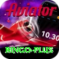 bingo Ultimate Pro v4.3.7