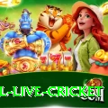 bpl live cricket Premium Plus v4.7.3