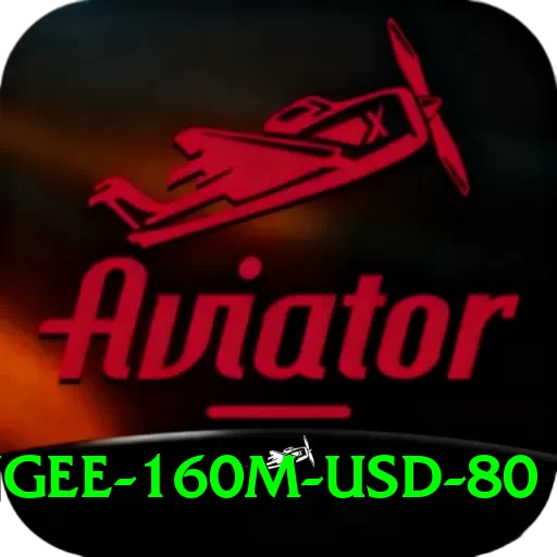 bungee 160m usd 80 Apps (Tools & Injectors) Plus v2.5.4 - 2
