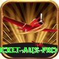 cricket aus - Super v1.3.0