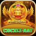 cricket bat Premium Plus v4.1.5