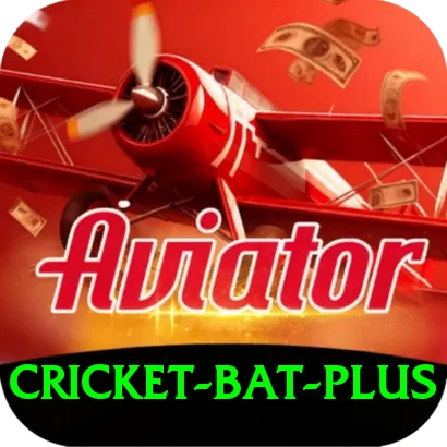 cricket bat - Supreme v3.0.5 - 2