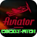 cricket pitch Master v3.7.3