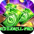 cricket world cup schedule Game Champion v4.7.9
