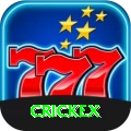 crickex Plus vv3.0.7