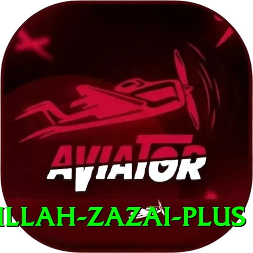 hazratullah zazai Mega Casino App - 2