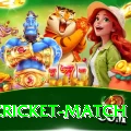india cricket match Max v1.1.8