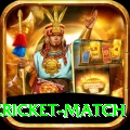india pakistan cricket match Pro Edition v5.4.2