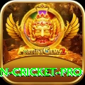 india pakistan cricket Pro Jackpot