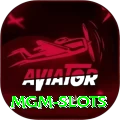 mgm slots Pro1 v5.6.9