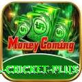 most runs in international cricket Slots Deluxe v5.0.5