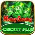 nepal cricket Mega Slots