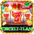 new zealand cricket team VIP Edition v5.6.0