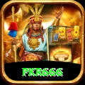 pkr666 VIP v3.5.5