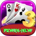 pkwin Premium Plus v4.4.7