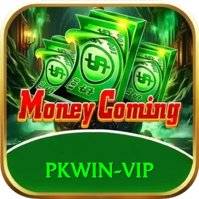 PKWin Master Pro vv4.0.2 - 2