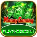 play cricket Games (Casino & Earning) Deluxe v5.6.2