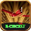 r cricket Gold Edition v5.3.9