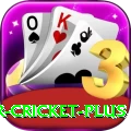 r cricket - Casino Pro