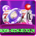 rudi koertzen Pro Edition v3.4.8