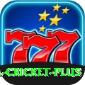 sl cricket Gaming Champion v4.6.0
