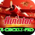 sports cricket Gaming VIP