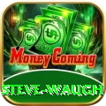 steve waugh Turbo Pro v3.8.3