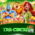 t20 cricket Deluxe Pro v1.8.0