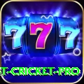 test cricket Mobile Deluxe