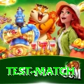 test match VIP Edition v2.3.3
