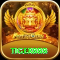 tiger888 Plus Edition v2.9.4