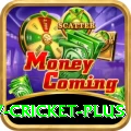 v cricket Mega Casino App