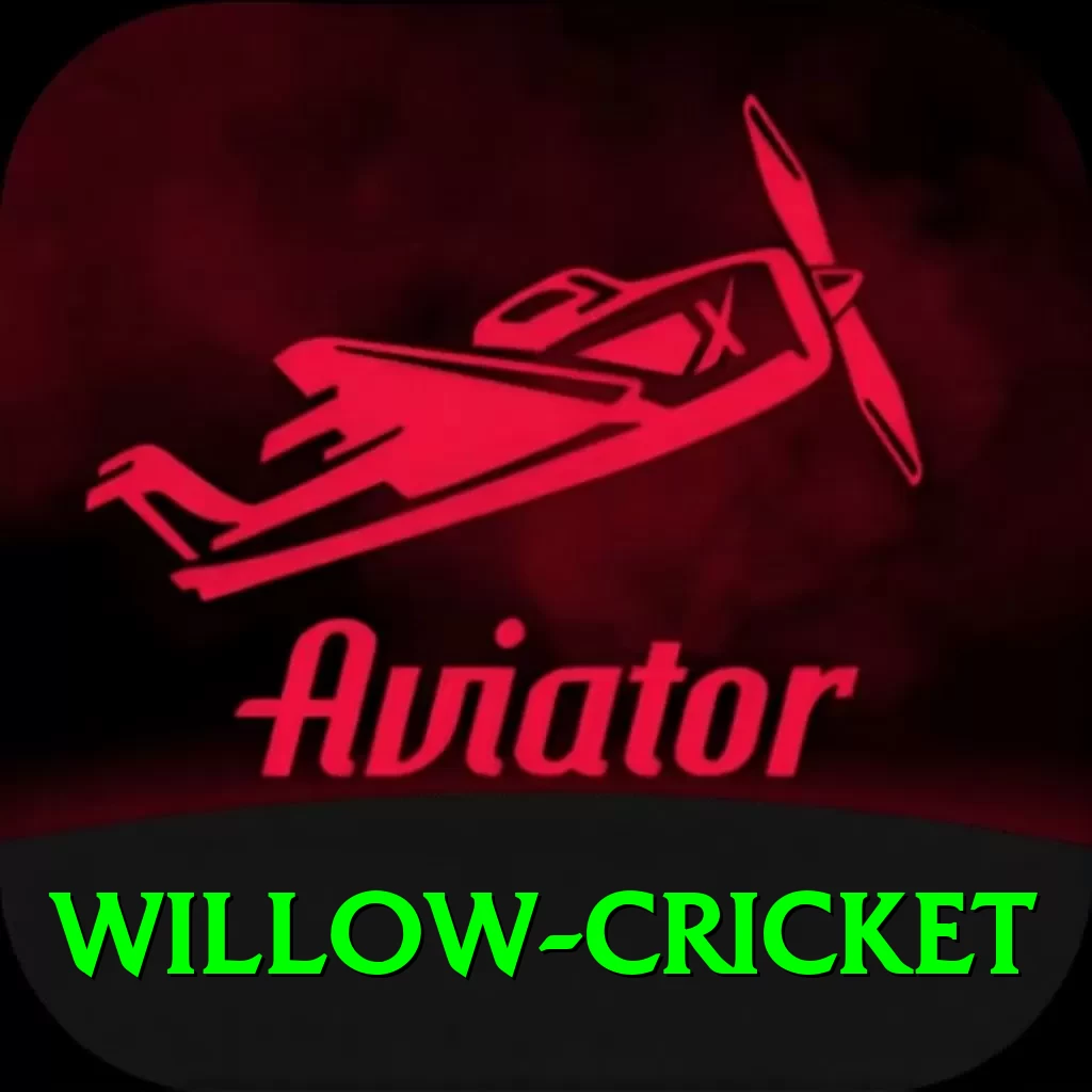 willow cricket Pro1 v3.0.1 - 2