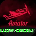 willow cricket Pro1 v3.0.1