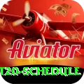 world t20 schedule Premium Plus v3.3.7